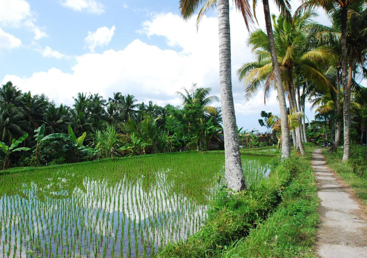Capung Asri Eco Luxury Resort With Private Pool Villas Bedahulu Экстерьер фото