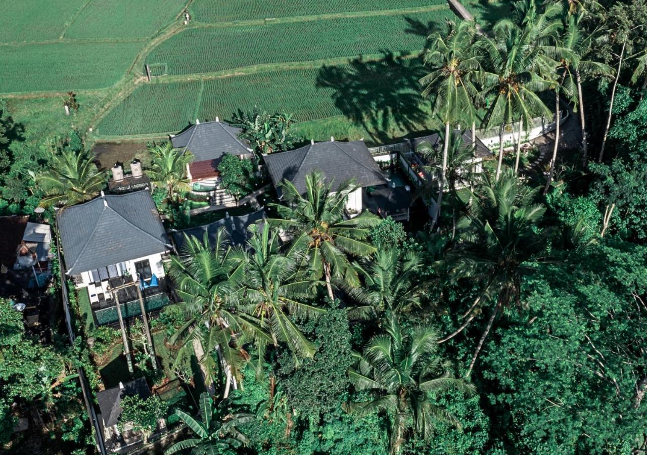 Capung Asri Eco Luxury Resort With Private Pool Villas Bedahulu Экстерьер фото